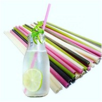 High quality Edible rice making drinking straw machine rice flour round tube drinking straw extruder with CE Certification