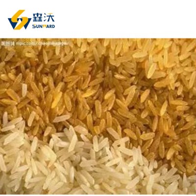 Minuts Instant White Rice Equipment Nutrition Rice Fortification Plant