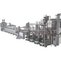 artificial rice twin screw extruder plant